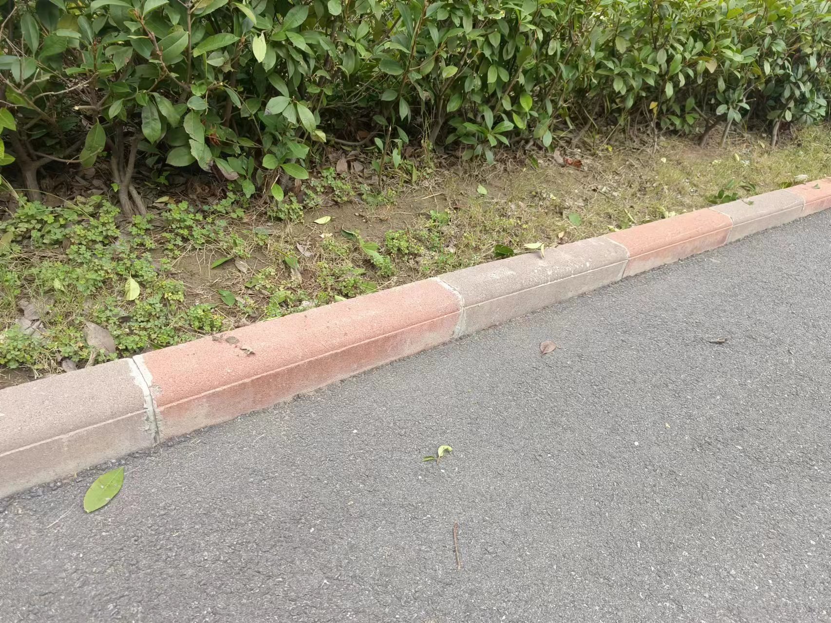 230744cf426f8e003d4140aeddacb4b.jpg 230744cf426f8e003d4140aeddacb4b.jpg