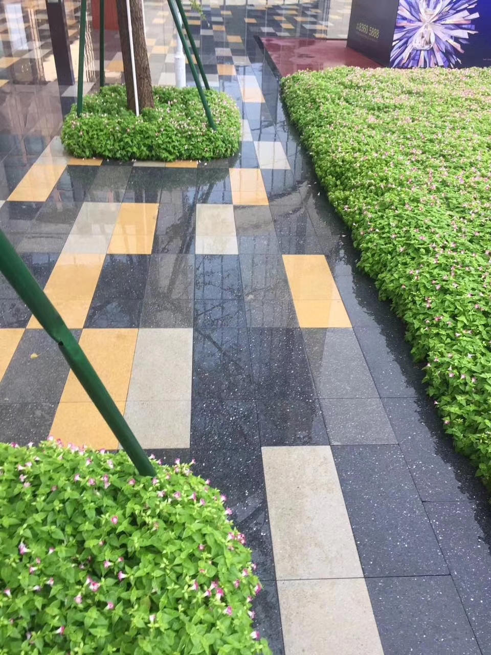 mmexport1525495673926.jpg mmexport1525495673926.jpg