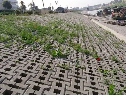 u=3550108196,287340599&fm=253&fmt=auto&app=138&f=JPEG.webp.png u=3550108196,287340599&fm=253&fmt=auto&app=138&f=JPEG.webp.png